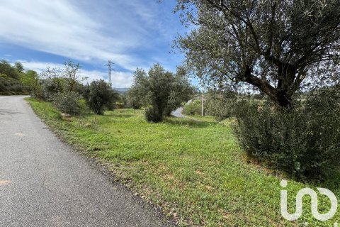 Gewerbeimmobilien in Asco, Tarragona, Spanien Nr. 185751