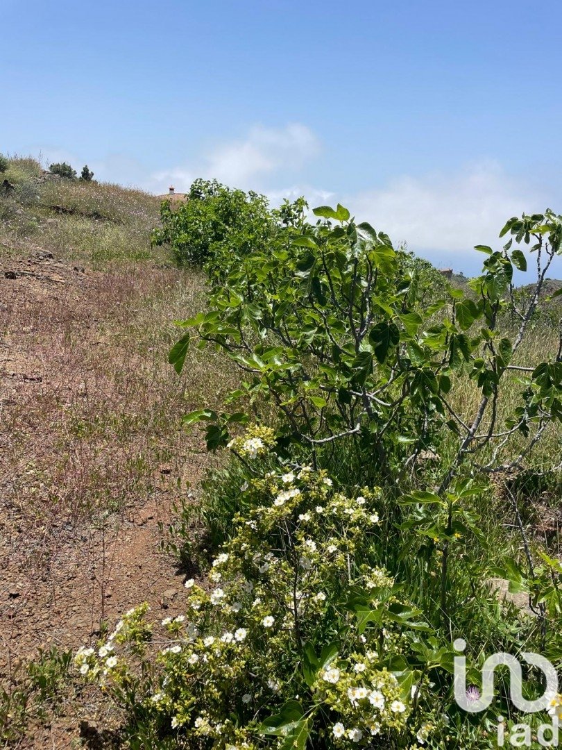 Działka w Taucho, Tenerife, Hiszpania 11000 mkw. nr 185755