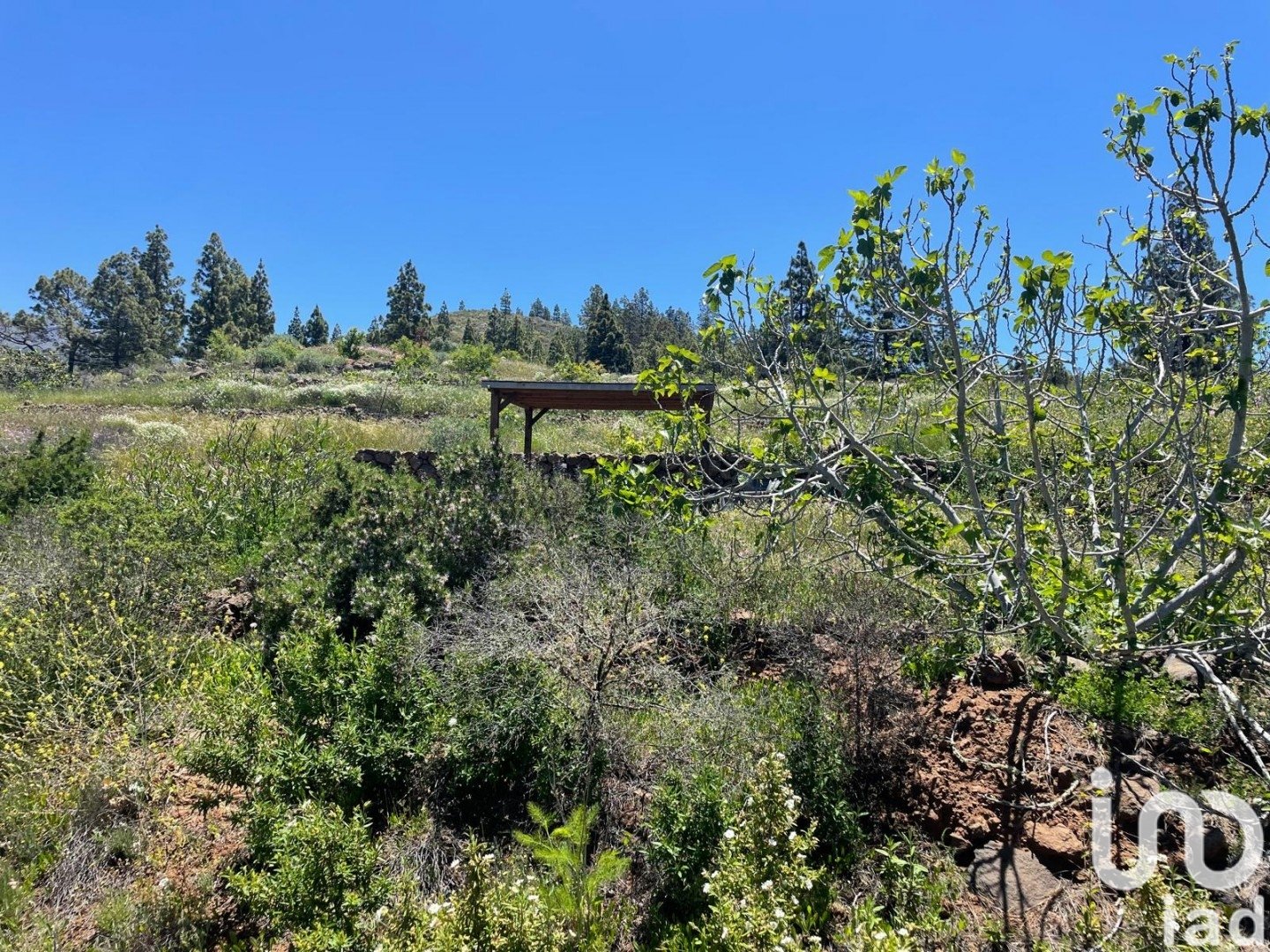 Działka w Taucho, Tenerife, Hiszpania 11000 mkw. nr 185755