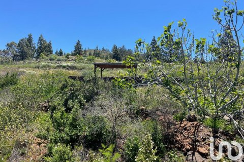 Tontti myytävänä Taucho, Tenerife, Espanja , 11000 m2 No. 185755 - kuva 5