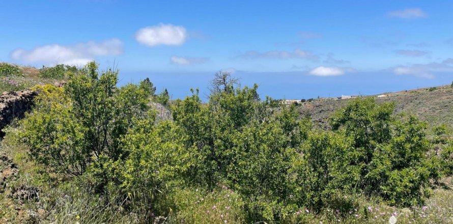 Tontti Taucho, Tenerife, Espanja 11000 m2 No. 185755