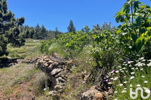 Tontti myytävänä Taucho, Tenerife, Espanja , 11000 m2 No. 185755 - kuva 2