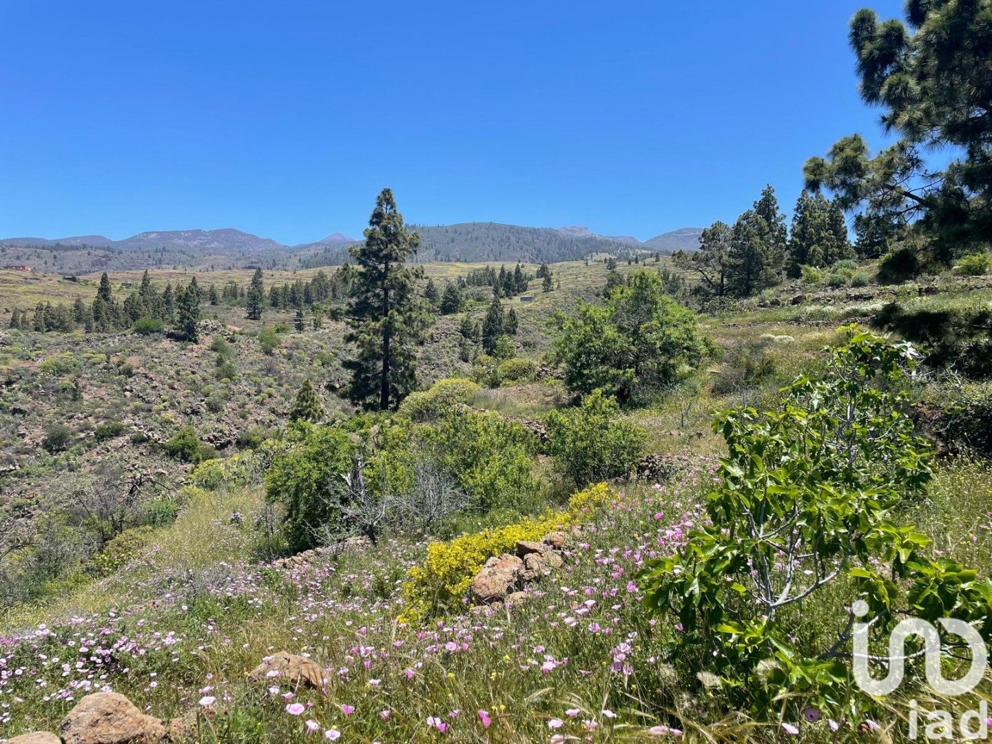 Działka w Taucho, Tenerife, Hiszpania 11000 mkw. nr 185755