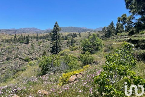 Tontti myytävänä Taucho, Tenerife, Espanja , 11000 m2 No. 185755 - kuva 3