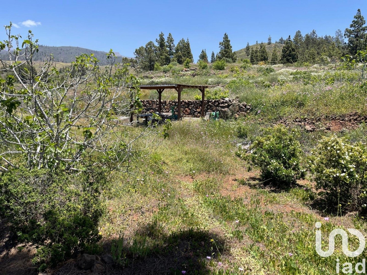 Działka w Taucho, Tenerife, Hiszpania 11000 mkw. nr 185755