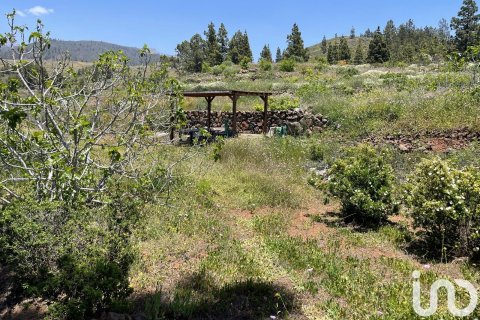 Tontti myytävänä Taucho, Tenerife, Espanja , 11000 m2 No. 185755 - kuva 9