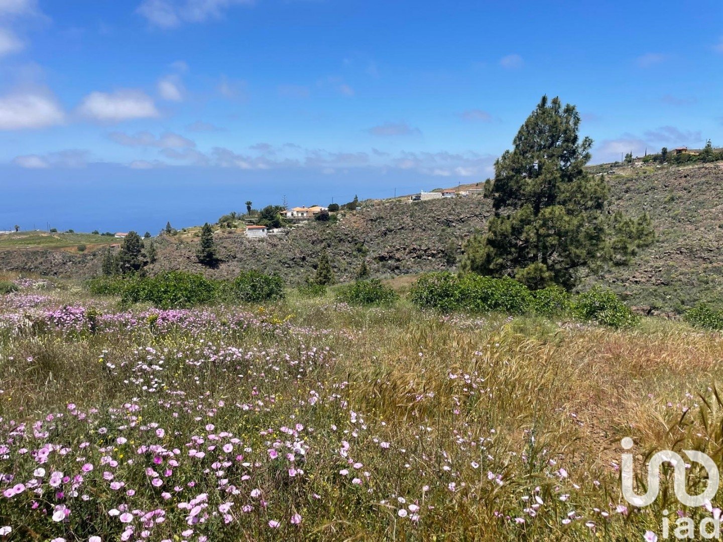 Działka w Taucho, Tenerife, Hiszpania 11000 mkw. nr 185755