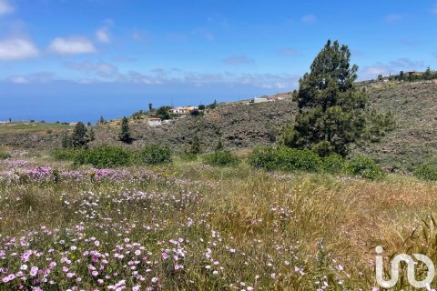Tontti myytävänä Taucho, Tenerife, Espanja , 11000 m2 No. 185755 - kuva 4