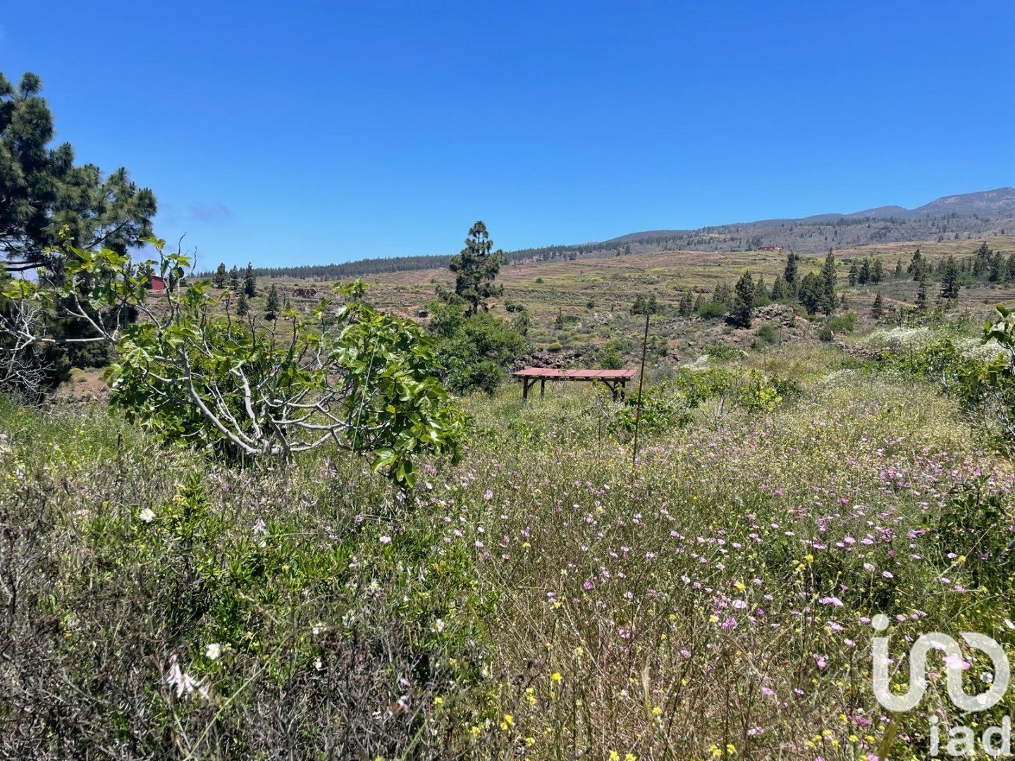 Działka w Taucho, Tenerife, Hiszpania 11000 mkw. nr 185755