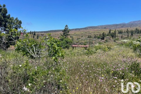 Tontti myytävänä Taucho, Tenerife, Espanja , 11000 m2 No. 185755 - kuva 7