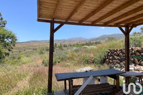 Tontti myytävänä Taucho, Tenerife, Espanja , 11000 m2 No. 185755 - kuva 10
