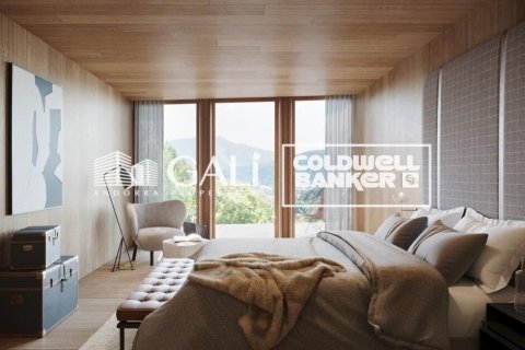 Villa till salu i Principado De Andorra (Ninguna Poblacion Tiene C.P.), Lleida, Spanien 7 sovrum, 695 kvm. Nr. 160157 - foto 6