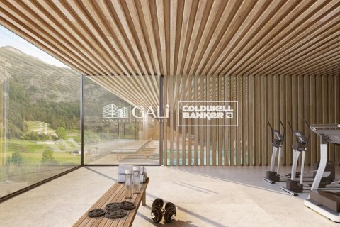 Villa till salu i Principado De Andorra (Ninguna Poblacion Tiene C.P.), Lleida, Spanien 7 sovrum, 695 kvm. Nr. 160157 - foto 9