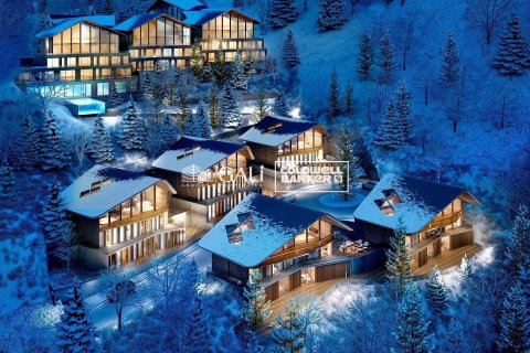 Villa till salu i Principado De Andorra (Ninguna Poblacion Tiene C.P.), Lleida, Spanien 7 sovrum, 695 kvm. Nr. 160157 - foto 7