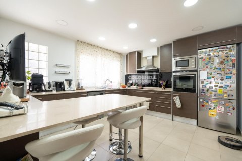 Huvila Principado De Andorra (Ninguna Poblacion Tiene C.P.), Lleida, Espanja 7 makuuhuonetta, 652 m2 No. 160152