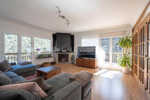 Villa zum Verkauf in Principado De Andorra (Ninguna Poblacion Tiene C.P.), Lleida, Spanien 7 Schlafzimmer, 652 m2 Nr. 160152 - Foto 3