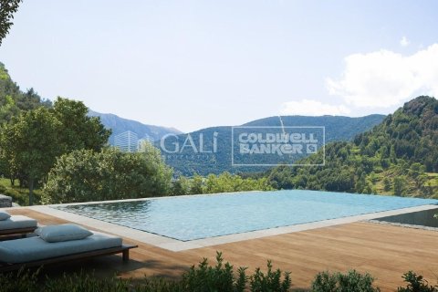 Villa till salu i Principado De Andorra (Ninguna Poblacion Tiene C.P.), Lleida, Spanien 5 sovrum, 666 kvm. Nr. 160156 - foto 17