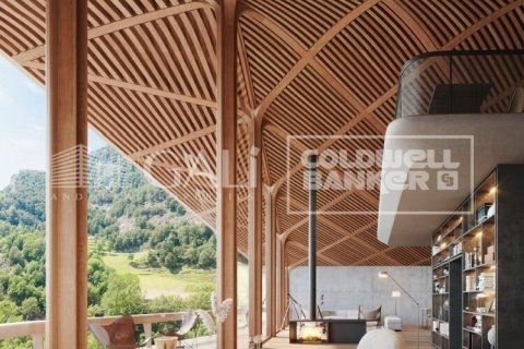 Villa till salu i Principado De Andorra (Ninguna Poblacion Tiene C.P.), Lleida, Spanien 5 sovrum, 666 kvm. Nr. 160156 - foto 14