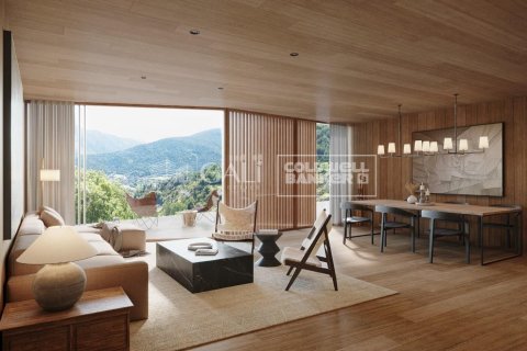 Villa till salu i Principado De Andorra (Ninguna Poblacion Tiene C.P.), Lleida, Spanien 5 sovrum, 666 kvm. Nr. 160156 - foto 10