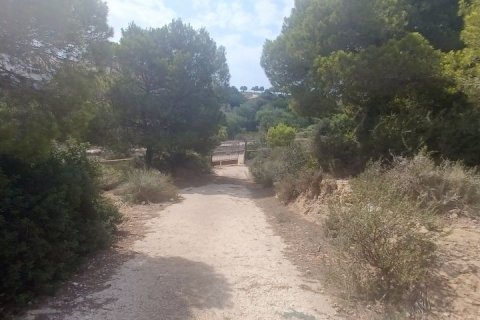 Villa zum Verkauf Alicante, Spanien 3 Schlafzimmer, 185 m2 Nr. 115021 - Foto 14