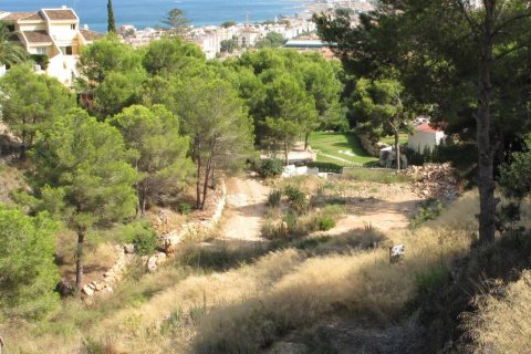 Terreno in vendita Javea, Alicante, Spagna N° 117120 - foto 4