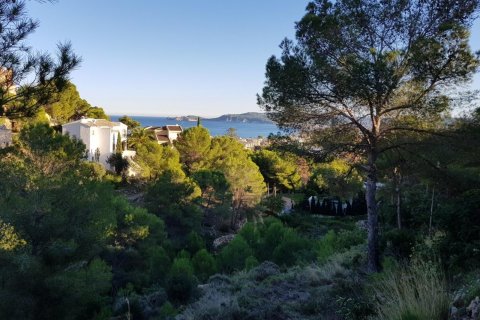 Terreno in vendita Javea, Alicante, Spagna N° 117120 - foto 5
