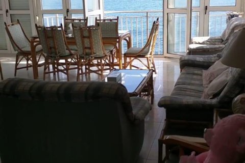 Apartment for sale Torrevieja, Alicante, Spain 4 bedrooms, 122 sq.m. No. 117113 - photo 17