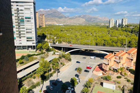 Продажа квартиры в Бенидорм, Аликанте, Испания 2 спальни, 120м2 №117117 - фото 9