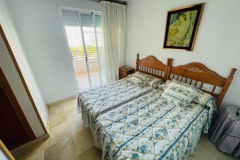 Продажа квартиры в Бенидорм, Аликанте, Испания 2 спальни, 120м2 №117117 - фото 11