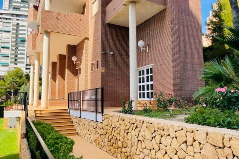 Продажа квартиры в Бенидорм, Аликанте, Испания 2 спальни, 120м2 №117117 - фото 23