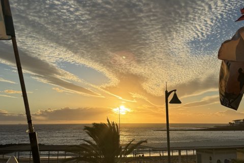 Gewerbeimmobilien zur Miete in Arona, Tenerife, Spanien 100 m2 Nr. 193480 - Foto 6