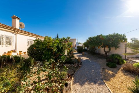 Finca à vendre à Albatera, Alicante, Espagne, 3 chambres, 167 m2 No. 140474 - photo 26