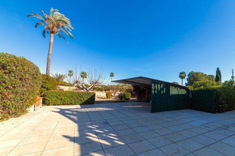 Finca à vendre à Albatera, Alicante, Espagne, 3 chambres, 167 m2 No. 140474 - photo 25