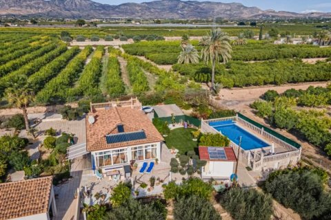 Finca à vendre à Albatera, Alicante, Espagne, 3 chambres, 167 m2 No. 140474 - photo 1