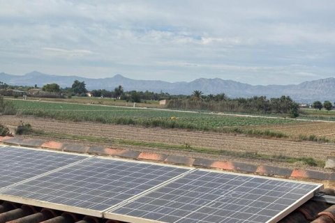 Finca à vendre à Dolores, Alicante, Espagne, 3 chambres, 239 m2 No. 140472 - photo 7