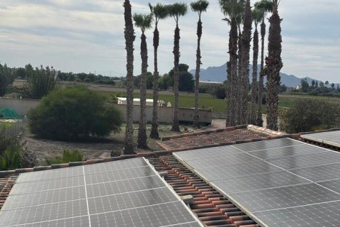 Finca à vendre à Dolores, Alicante, Espagne, 3 chambres, 239 m2 No. 140472 - photo 6