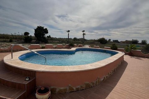 Finca à vendre à Dolores, Alicante, Espagne, 3 chambres, 239 m2 No. 140472 - photo 2