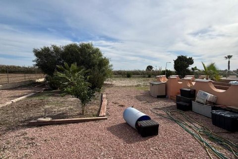 Finca à vendre à Dolores, Alicante, Espagne, 3 chambres, 239 m2 No. 140472 - photo 5