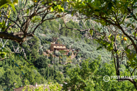 Finca for sale in Fornalutx, Mallorca, Spain 3 bedrooms, 204 sq.m. No. 167790 - photo 3