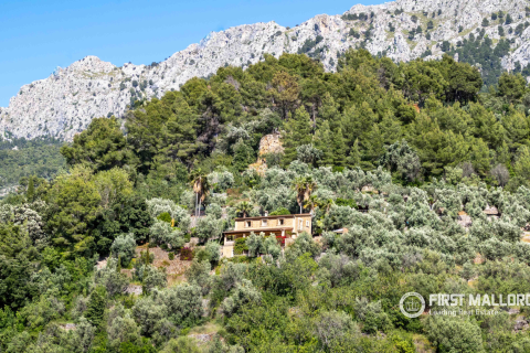 Finca for sale in Fornalutx, Mallorca, Spain 3 bedrooms, 204 sq.m. No. 167790 - photo 4