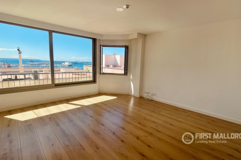 Продажа квартиры в Пальма-де-Майорка, Майорка, Испания 4 спальни, 258м2 №167791 - фото 13