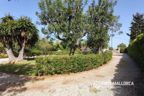 Finca in vendita a Llucmajor, Mallorca, Spagna 3 camere da letto, 127 mq. N° 167789 - foto 15