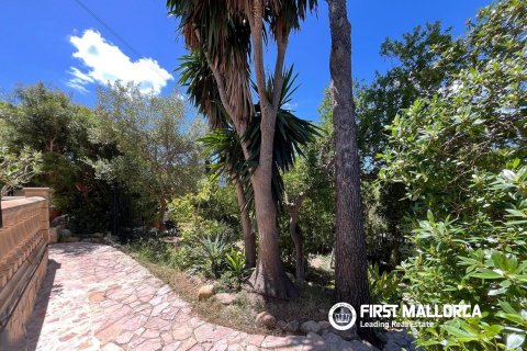 Dzīvoklis īrēšanai Portals Nous, Mallorca, Spānijā 1 istaba, 60 m2 Nr. 167793 - attēls 17