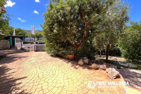 Dzīvoklis īrēšanai Portals Nous, Mallorca, Spānijā 1 istaba, 60 m2 Nr. 167793 - attēls 16