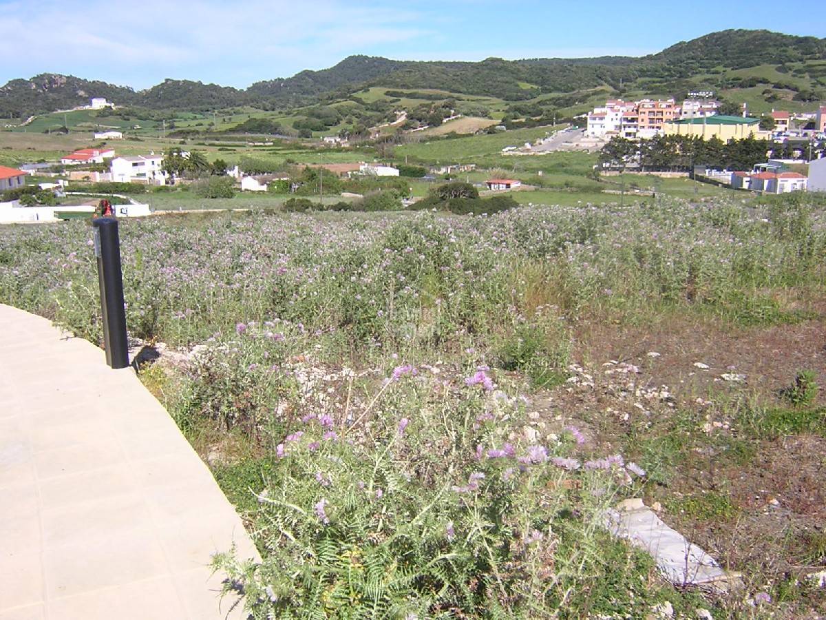 Terreno a Es Mercadal, Menorca, Spagna 300 mq. N° 65130