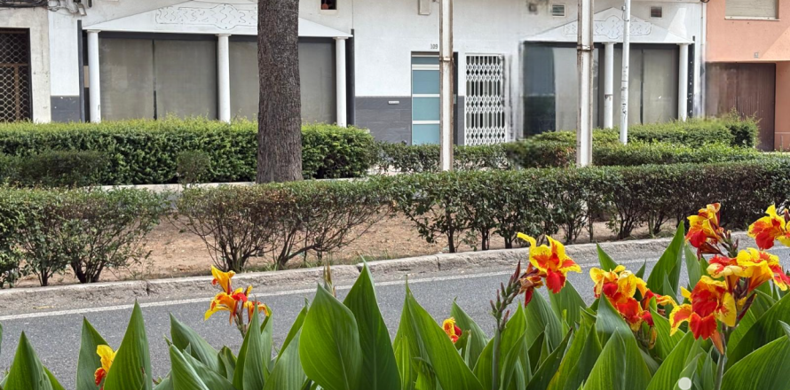 Liikekiinteistö Tavernes de la Valldigna, Valencia, Espanja 604 m2 No. 153313