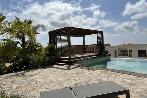 Apartment for sale Pinar De Campoverde, Alicante, Spain 2 bedrooms,  No. 115961 - photo 16