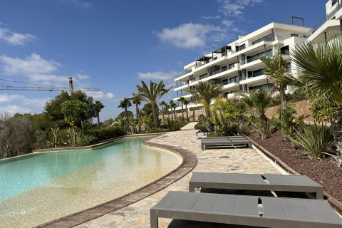 Apartment for sale Pinar De Campoverde, Alicante, Spain 2 bedrooms,  No. 115961 - photo 25