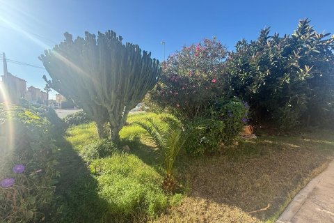 Apartment à vendre à Alicante, Espagne, 86 m2 No. 143906 - photo 26