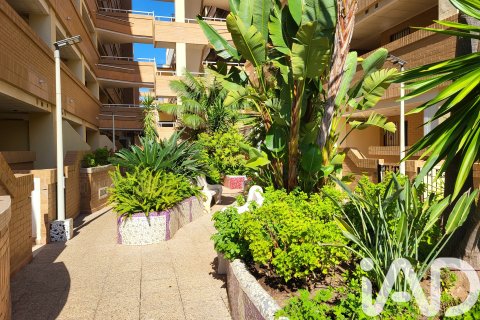 Apartamento en venta en Oropesa del Mar, Castellón, España 2 dormitorios, 61 m2 No. 184731 - foto 26